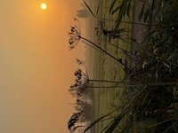 Breidagen, breidagen en nog eens breidagen, een beetje nazomeren