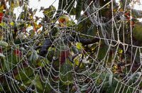 Erasmus, Creatieve dag, socktober, herfst