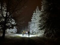 Kerstmis, makkie, puzzelen, adventsvest, Punky