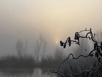 Creatieve handwerkdag, WIP's, goede voornemens, verkouden, mooi Kinderdijk