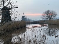 Wips, breipakketten, wolverven, lente!