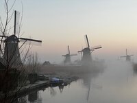 Feest, genieten, sockmadness, sokken van Pien, lentegevoel!