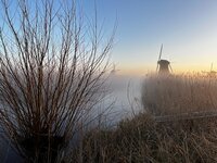 Mist, Lievia, sockmadness, veel wol verven, eitjes, Punky.