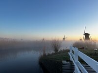 Wol verven, verven en nog eens verven, truitje klaar, lente rond de molen.