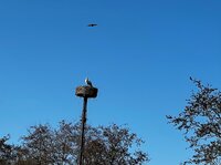 Sockmadness, fotosessie met Pien, wol voor de Breidagen, Lente!