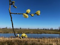mooie breiwerken van Koperdraadje wol, voorbereidingen, Breidagen Breda