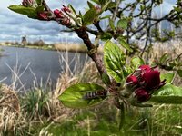 na de breidagen, leuk bezoek, opruimen, lente