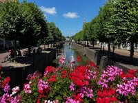 hitte in Nederland, advent