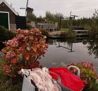 Breidagen, warme oren, handige brei app.