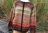 Breipatroon Adventsvest "Koperdraadje" Nederlands